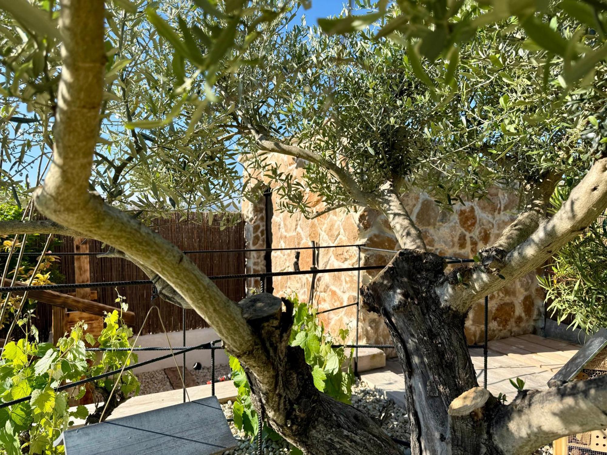 Une Nuit En Luberon Puyvert Екстериор снимка